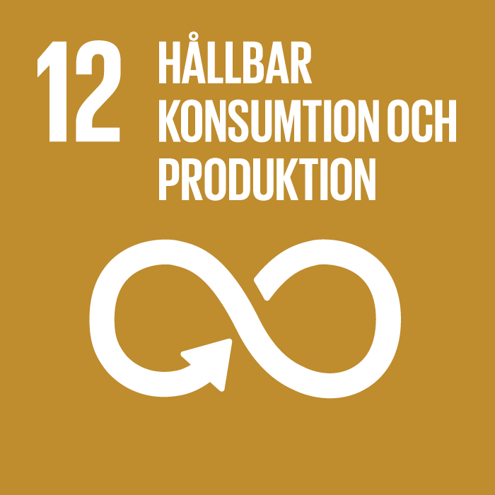 Mål 12 Hållbar konsumtion och produktion